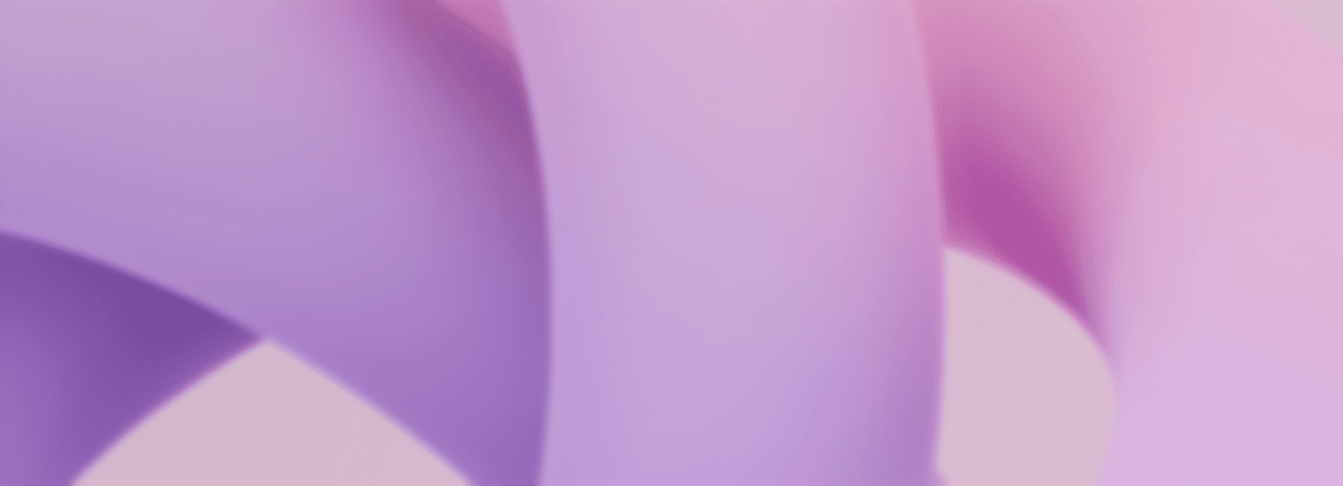 Abstract rose blur background